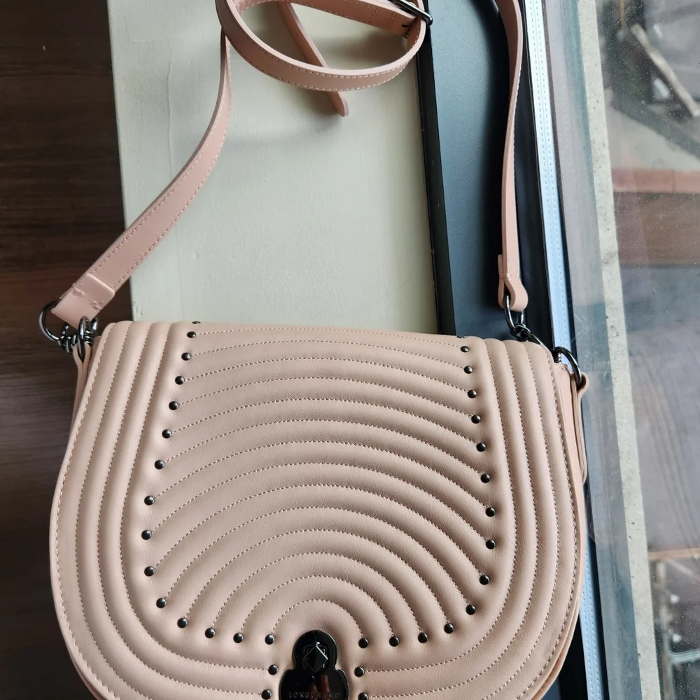 Longchamp Leathet Saddle Crossbody Bag in Blush Pink, Brand New - Picture 5 of 13